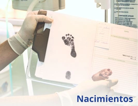 Nacimientos
